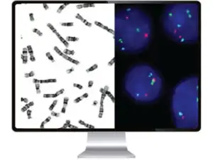 Cytogenetic Platform