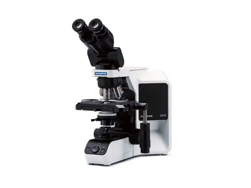 Routine Upright Microscope — Evident (Olympus)