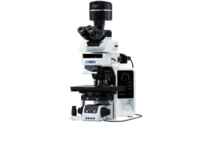 BX63