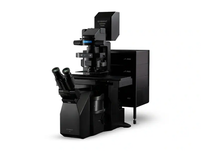 Confocal Laser Scanning — Evident (Olympus)