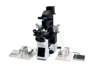 IVF/ICSI Microscopes