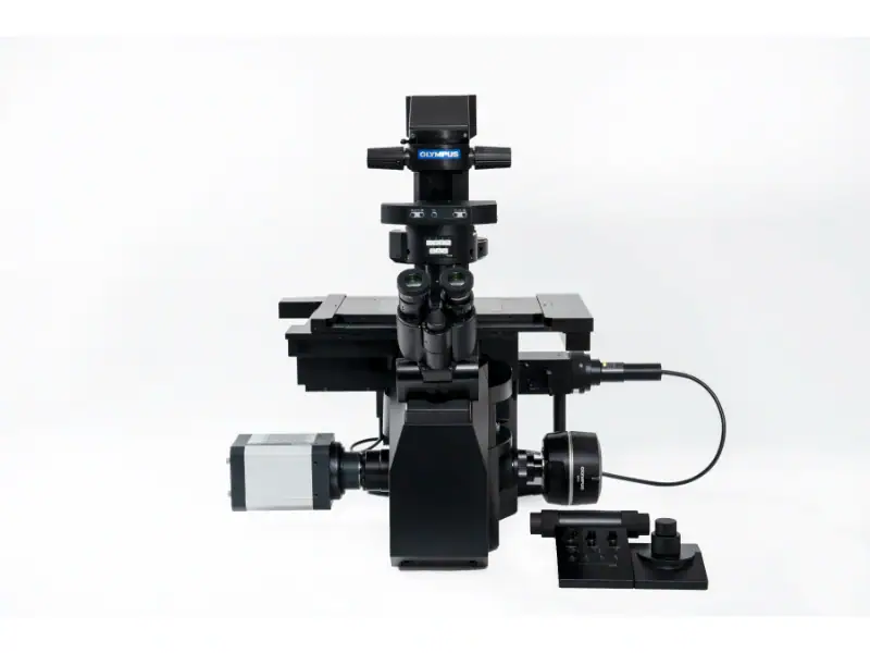 Motorised Inverted Microscope — Evident (Olympus)